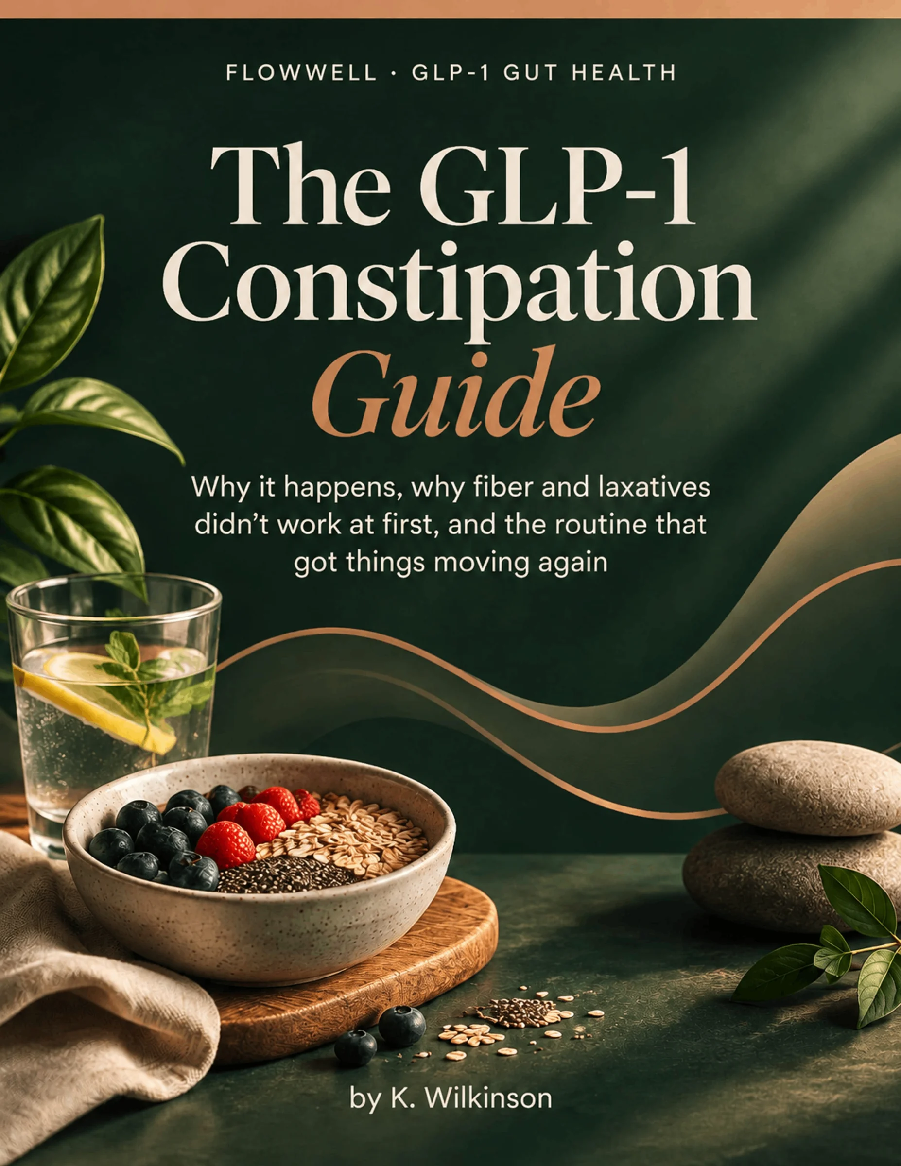 Cover of The GLP-1 Constipation Guide by K. Wilkinson